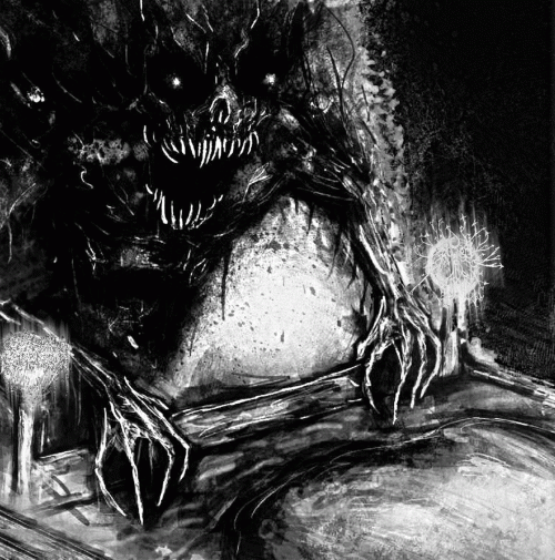 Rudis : Rudis - Phyllomedusa